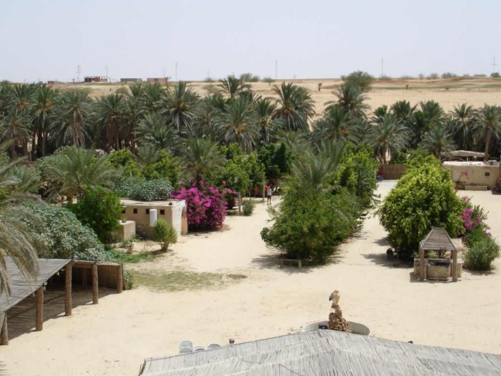 Palm Beach Palace توزر المظهر الخارجي الصورة